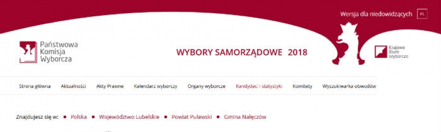 Wybory Burmistrza Nałęczowa